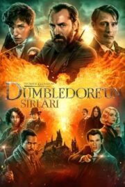 Fantastik Canavarlar 3 Dumbledore’un Sırları Türkçe Dublaj Full izle 720p