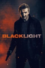 Blacklight izle Türkçe Dublaj 720p