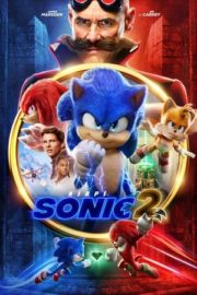Kirpi Sonic 2 izle Türkçe Dublaj 720p