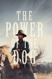 Köpeğin Gücü – The Power of the Dog izle Türkçe Dublaj 720p