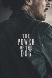 The power of the dog 720p