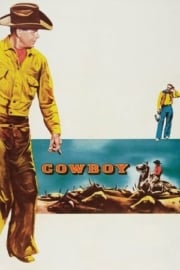 Cowboy Türkçe Dublaj izle 720p