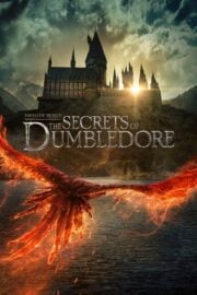 Fantastik Canavarlar 3: Dumbledore’un Sırları Türkçe Dublaj izle 720p
