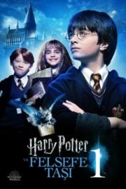 Harry Potter 1 Felsefe Taşı Türkçe Dublaj izle 720p