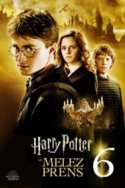 Harry Potter 6 Melez Prens Türkçe Dublaj izle 720p
