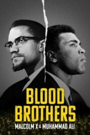 Kan Kardeşler: Malcolm X ve Muhammed Ali Türkçe Dublaj izle 720p